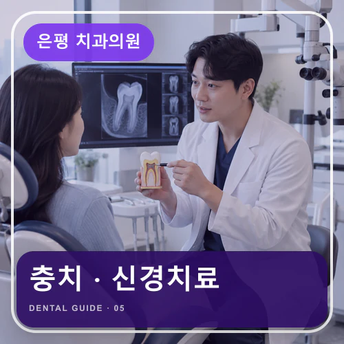 은평치과 | 시림·충치·신경치료, 증상별 보존 범위